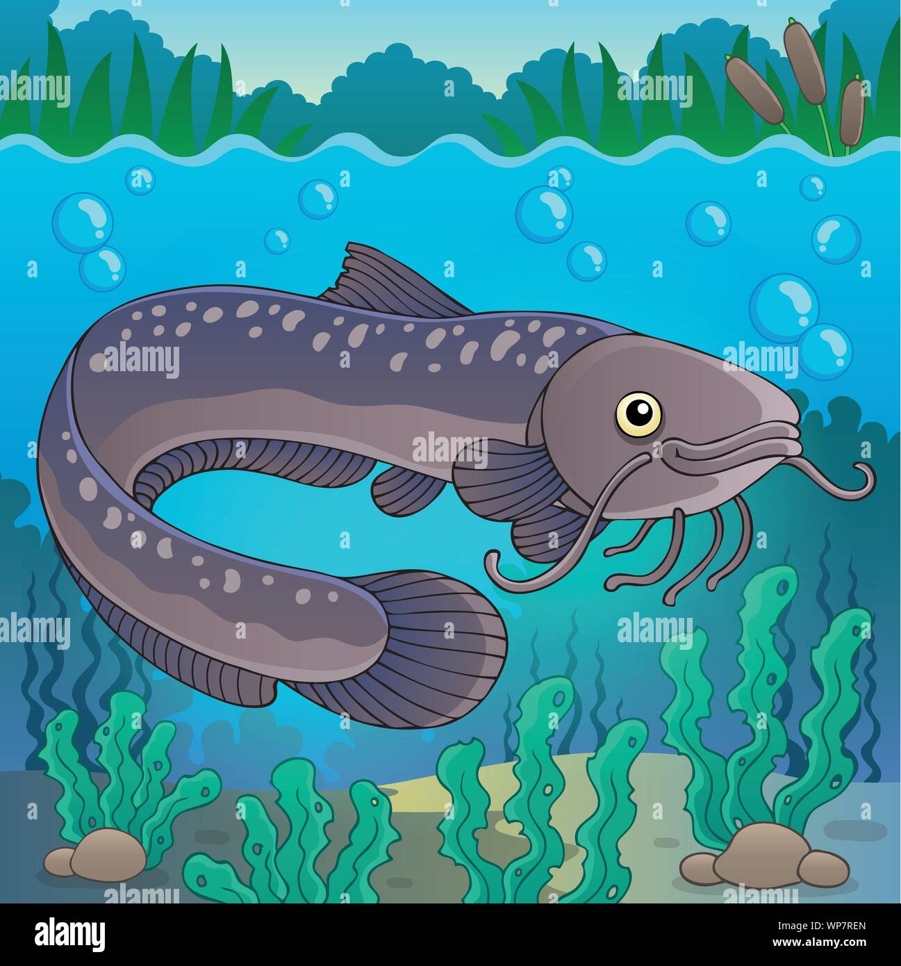 Freshwater fish topic image 2 Stock Vector Image & Art Alamy