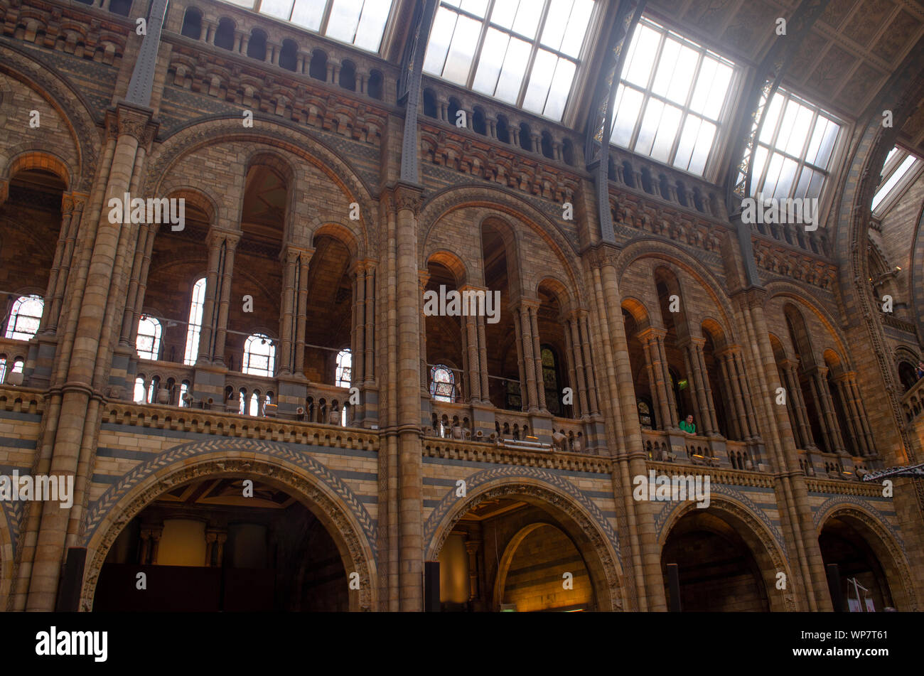 Interior details of the Natural History Museum, London. Stock Photo
