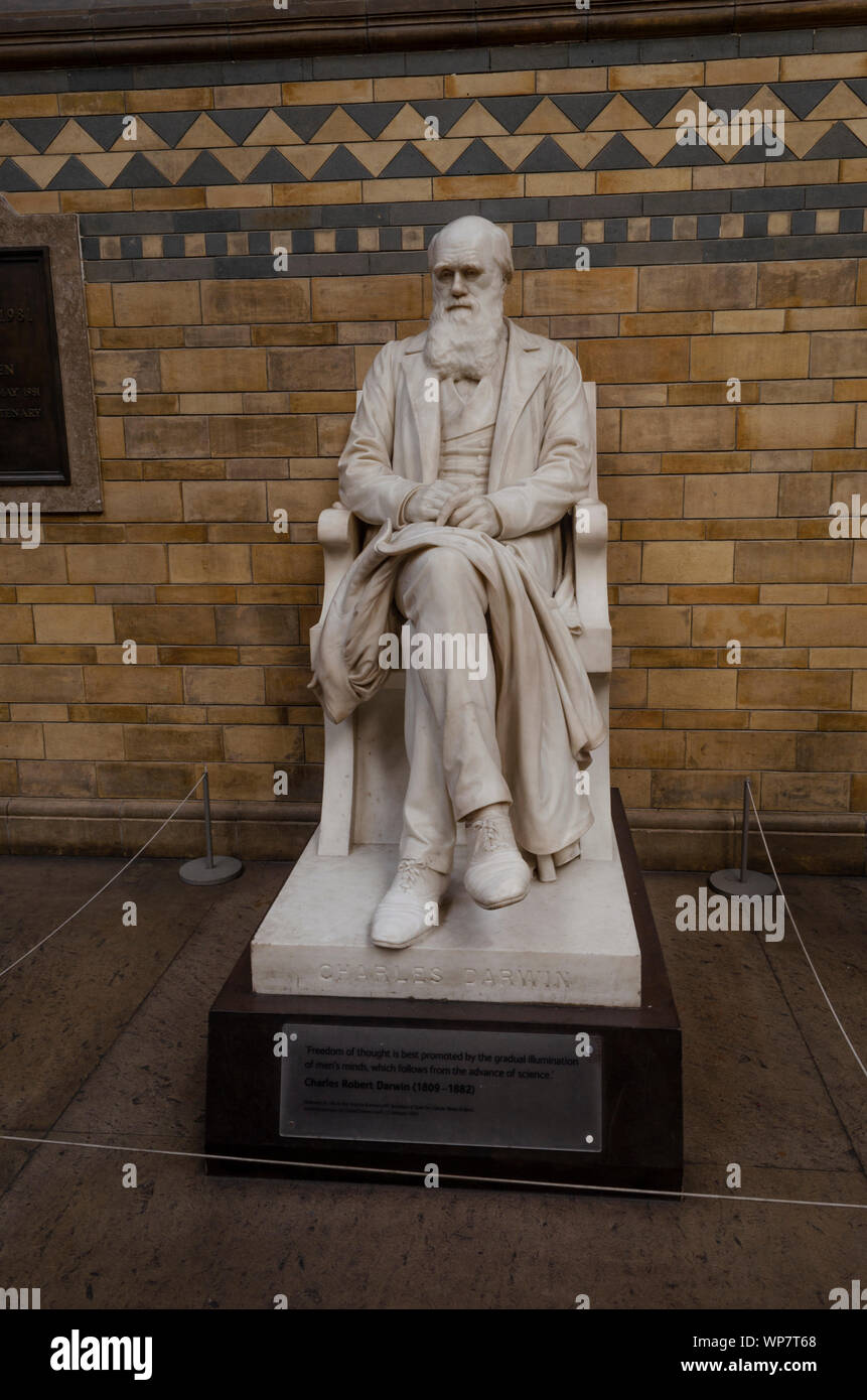Sculpture of Charles Darwin at Natural History Museum, London. Stock Photo