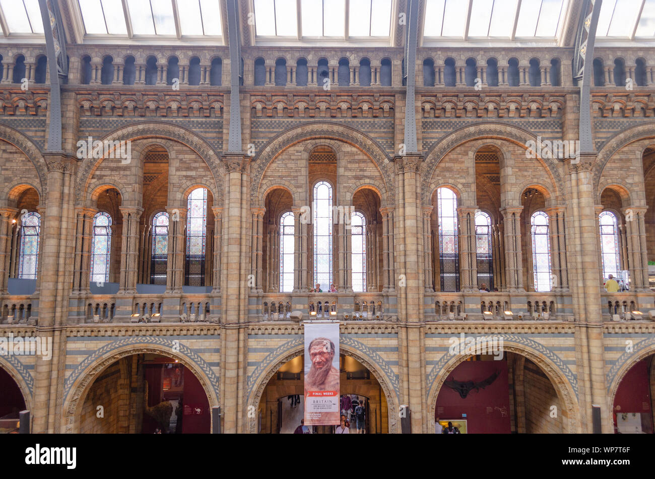 Interior details of the Natural History Museum, London. Stock Photo