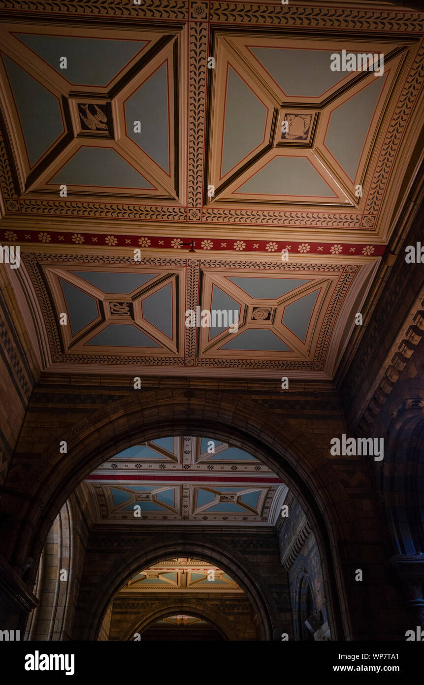 A ceiling pattern at Natural History Museum, London. Stock Photo