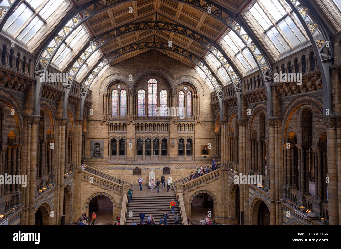 Interior details of the Natural History Museum, London. Stock Photo