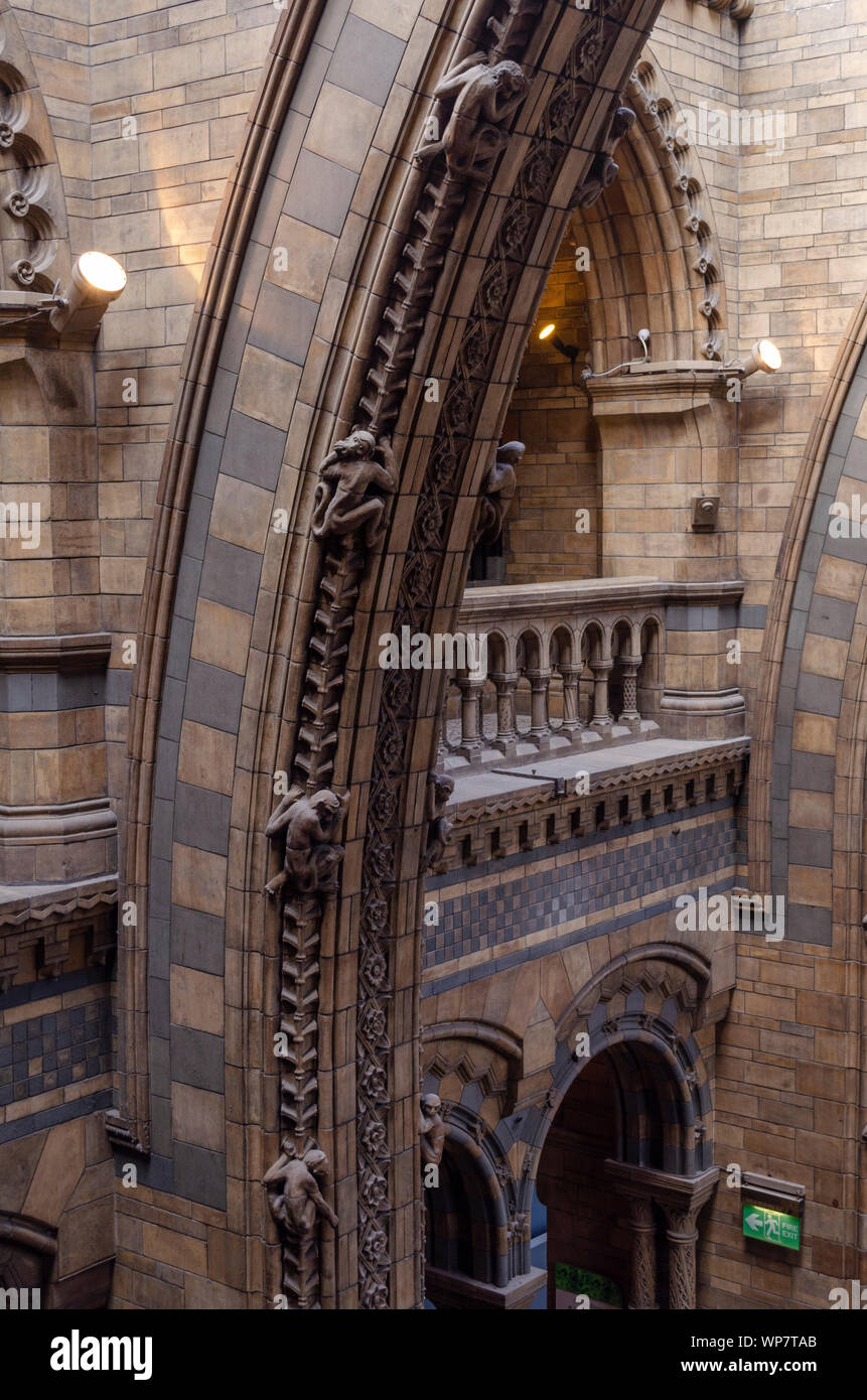 Interior details of the Natural History Museum, London. Stock Photo