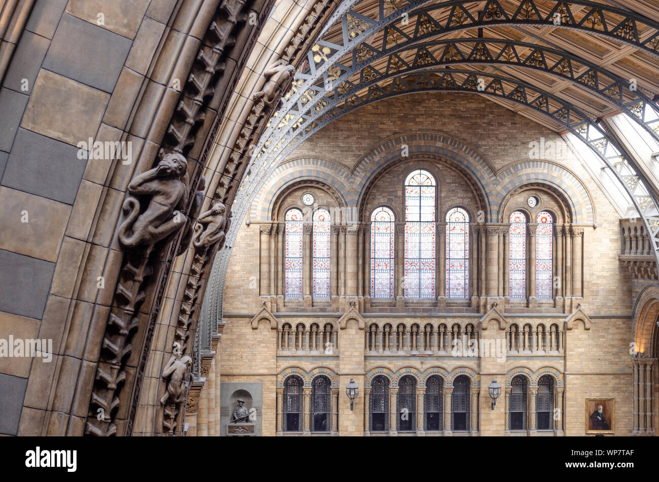 Interior details of the Natural History Museum, London. Stock Photo