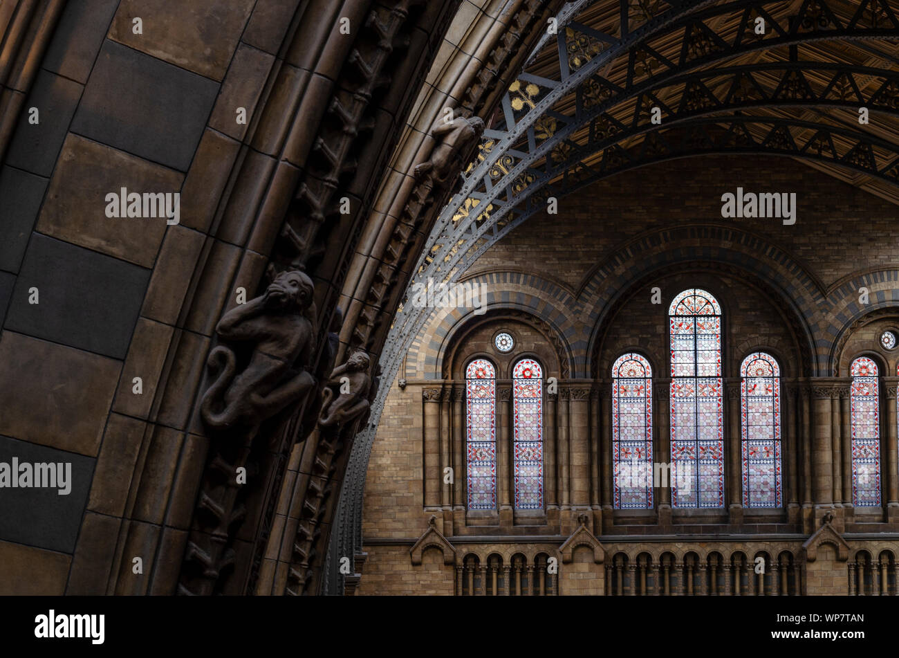 Interior details of the Natural History Museum, London. Stock Photo