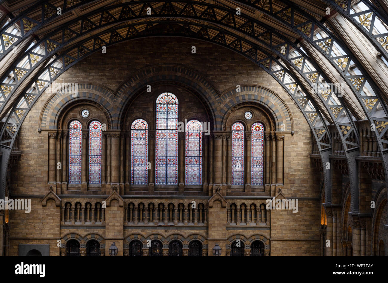 Interior details of the Natural History Museum, London. Stock Photo