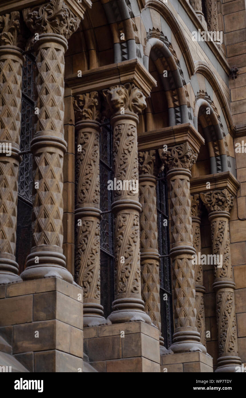Interior details of the Natural History Museum, London. Stock Photo