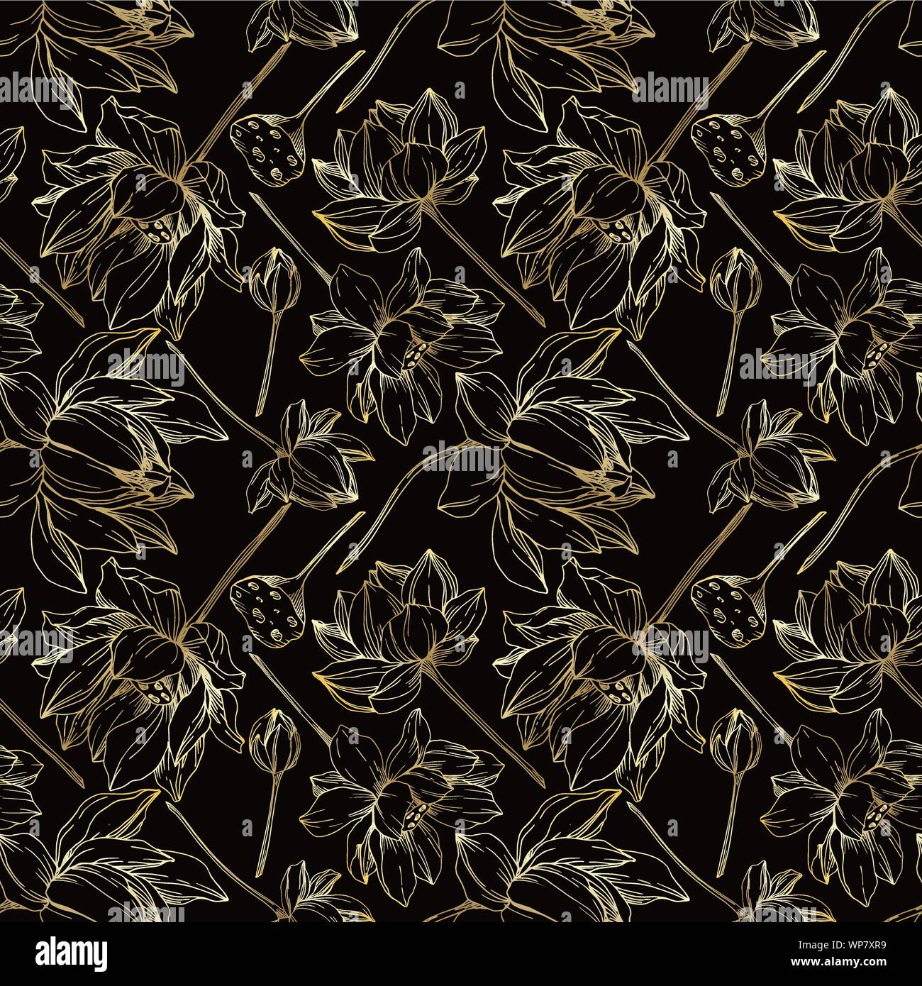 Vector Lotus Floral Botanical Flowers Black And White Engraved