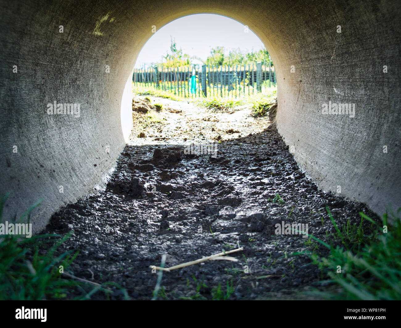 Light in the tunnel Stock Photo - Alamy