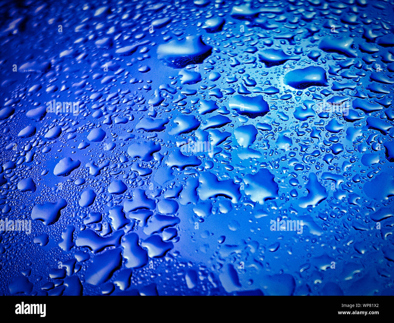 Beautiful macro picture of water droplets Stock Photo - Alamy