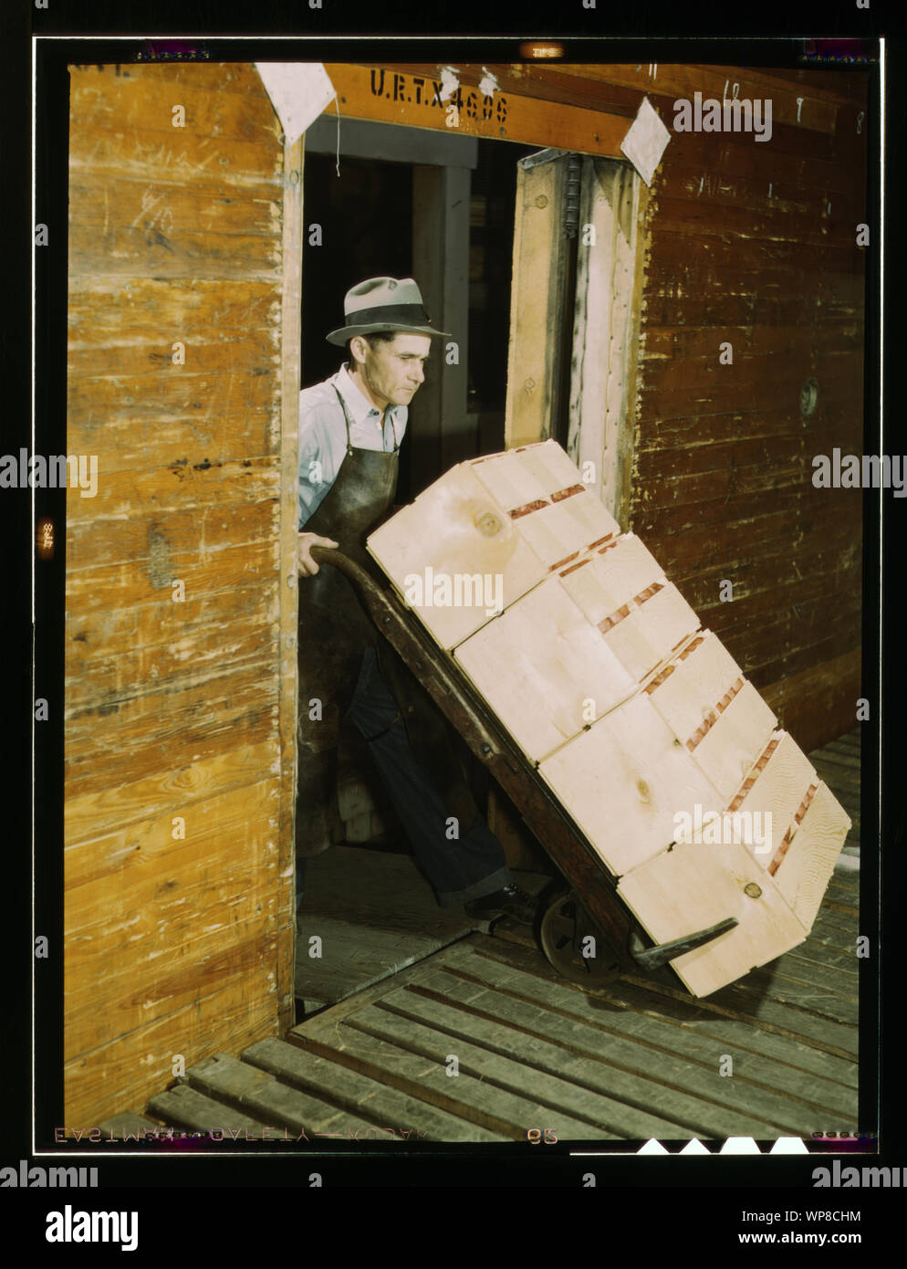 Loading oranges into refrigerator car at a co-op orange packing plant Stock Photo