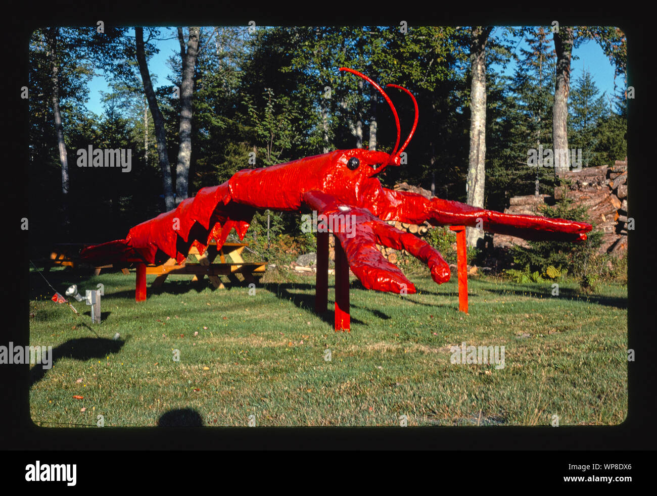 Lobster statue, Fenton's Seafood Market, Trenton, Maine Stock Photo Alamy