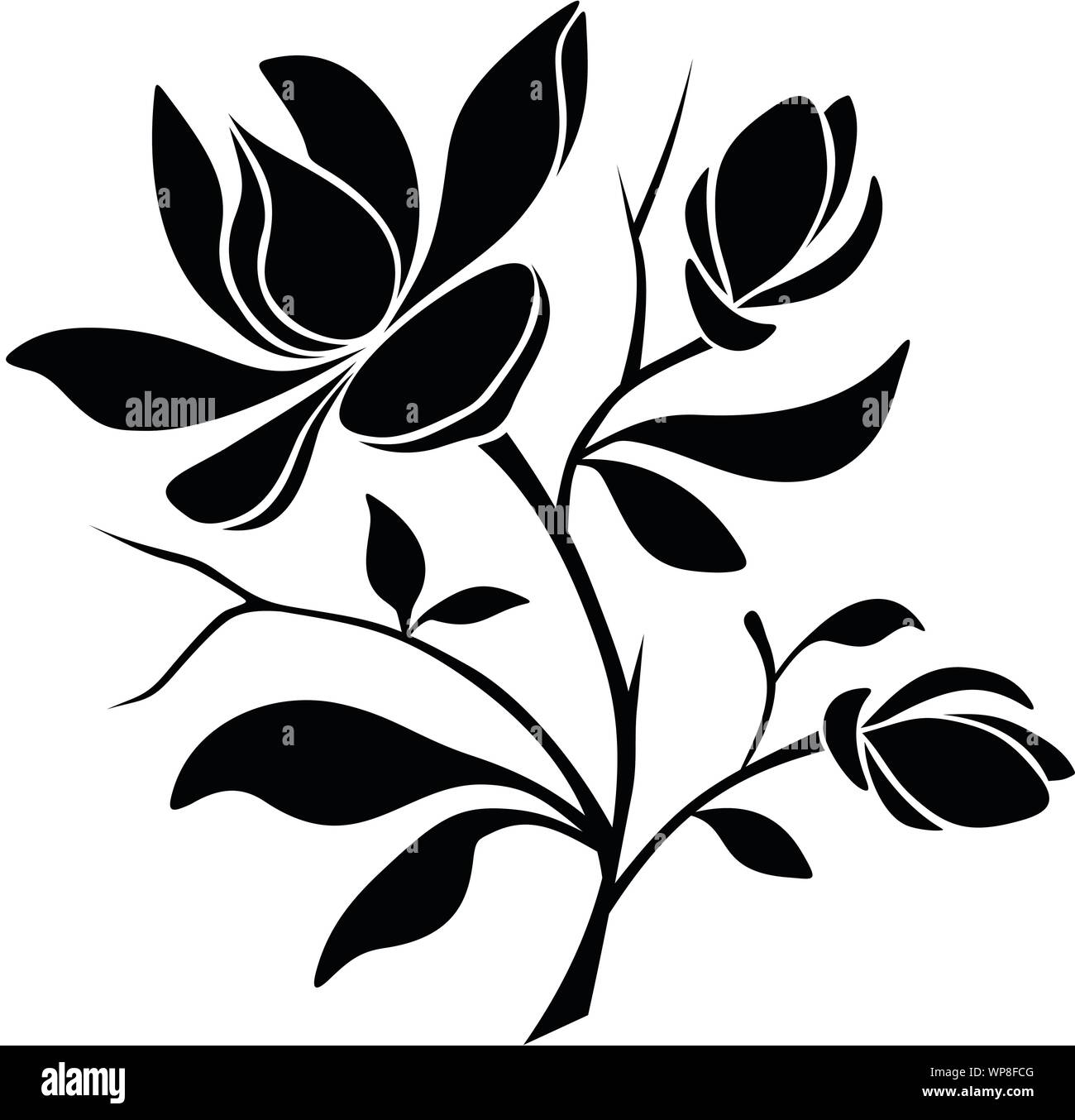 Vector black silhouette of magnolia flowers on a white background Stock ...