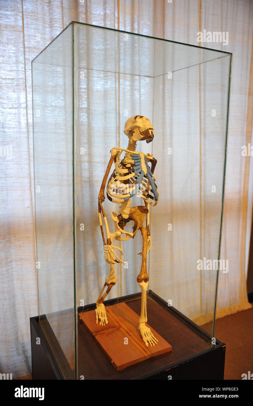 National Museum Stock Photo