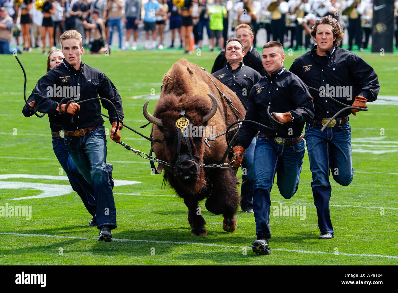Ot. 7th Sep, 2019. Colorado mascot Ralph the Buffalo runs on the field prior to the game against Nebraska at Folsom Field in Boulder, CO. Colorado came from behind to defeat Nebraska 34-31 in OT. Derek Regensburger/CSM/Alamy Live News Stock Photo