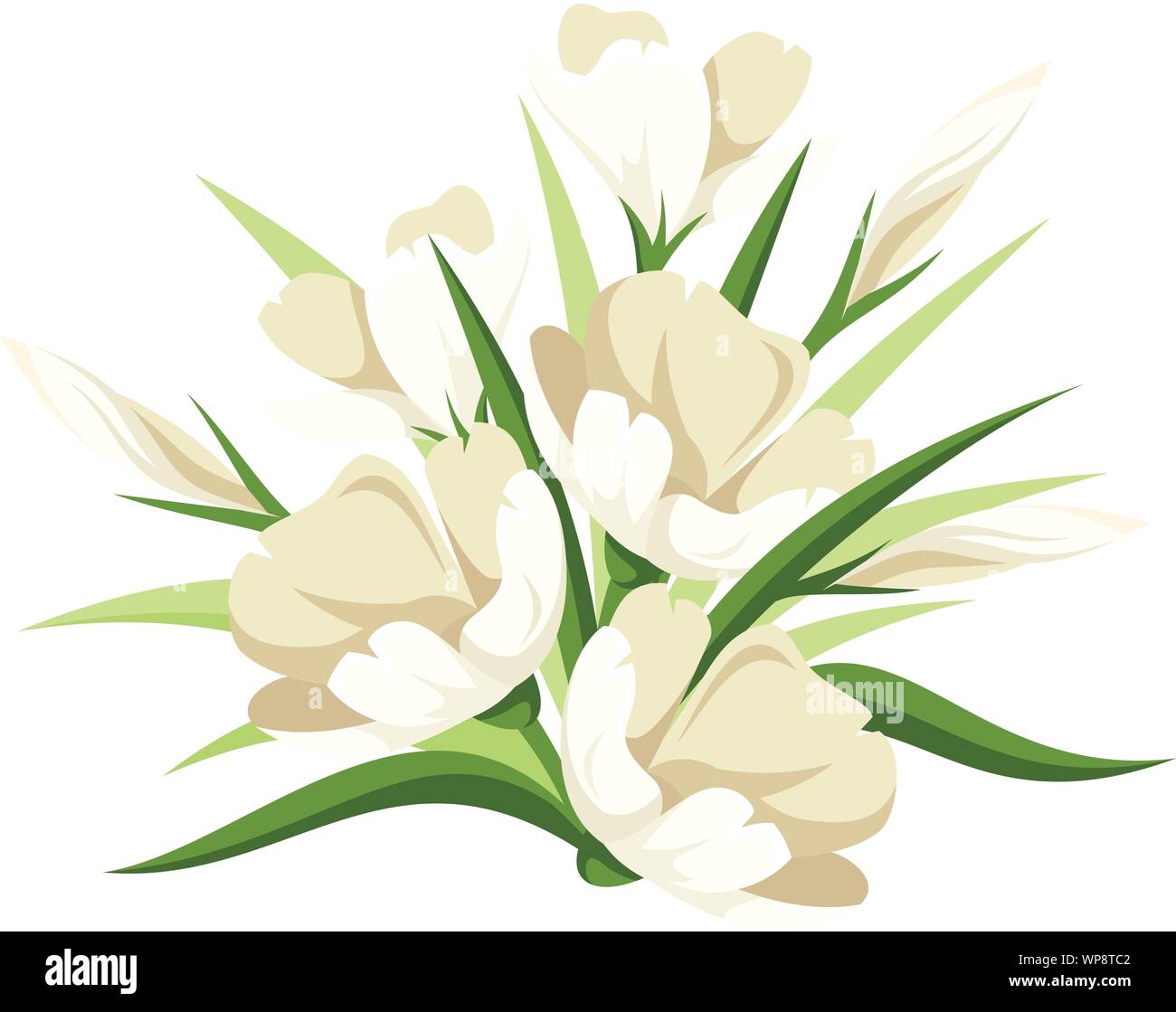 Vector bouquet of white flowers and green leaves isolated on white ...