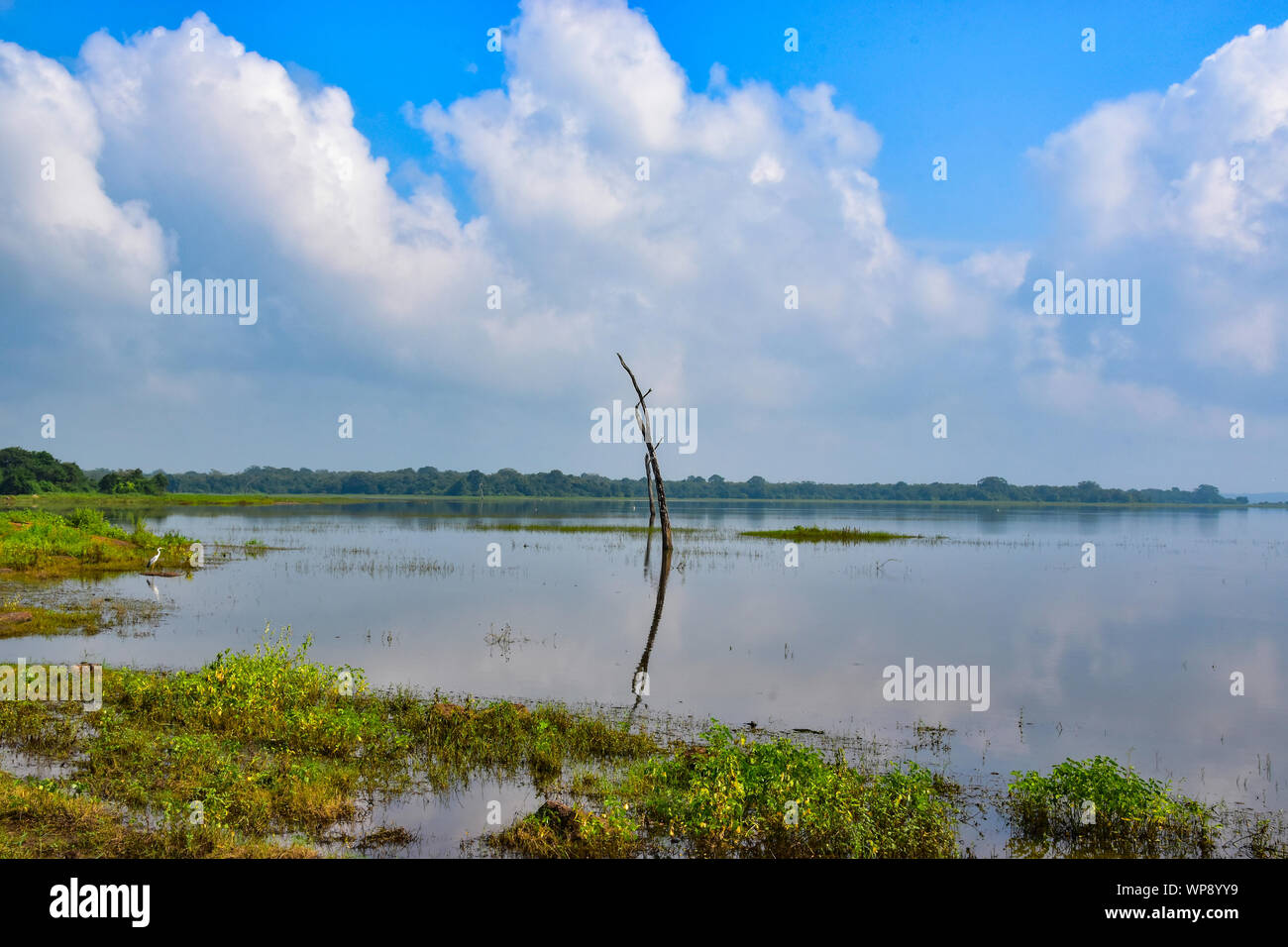 Lake, Kaudulla National Park, Sri Lanka Stock Photo