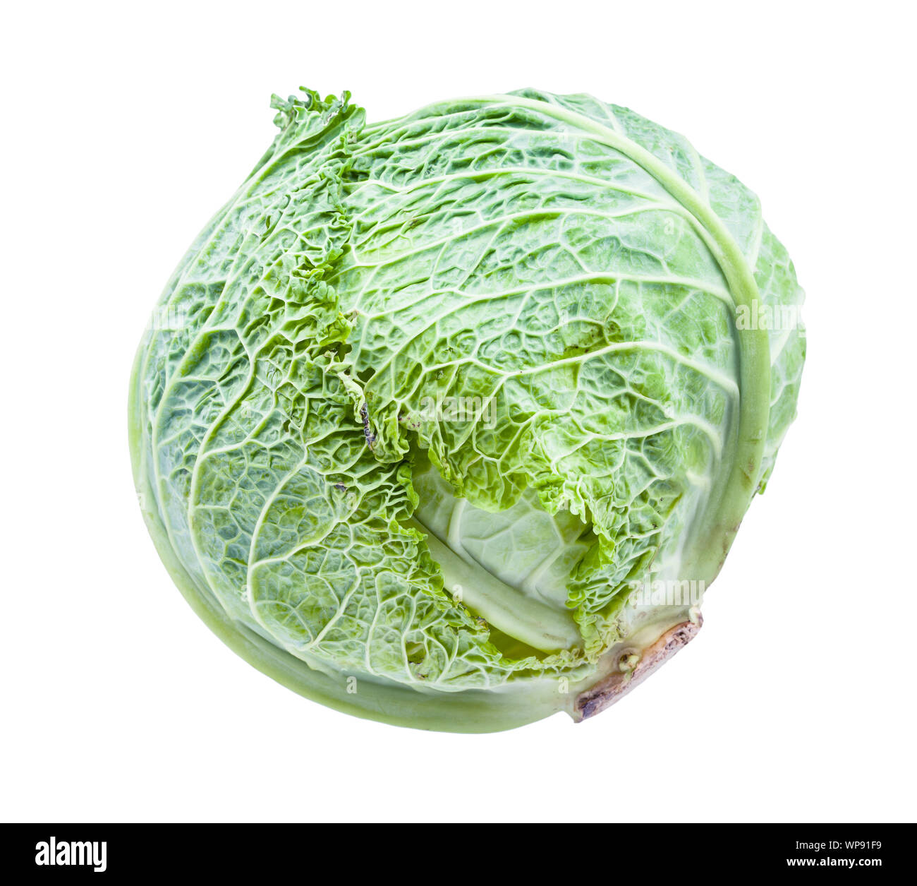 green cabbagehead of fresh savoy cabbage isolated on white background ...