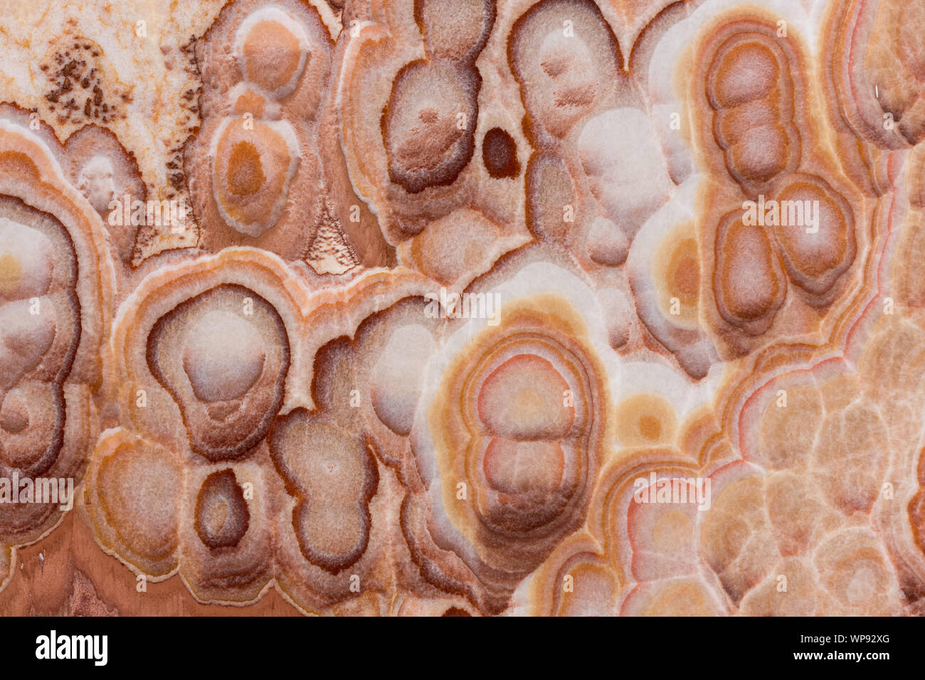 Close up onyx beige natural stone marble texture. Stock Photo