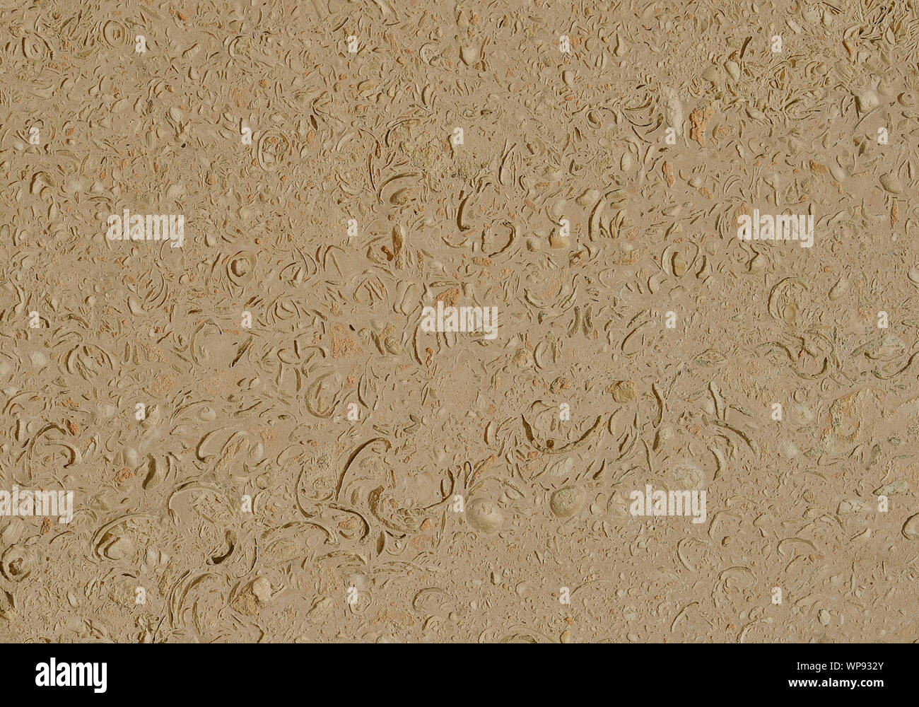Organic texture of natural stone with prints of sea shells muted cream