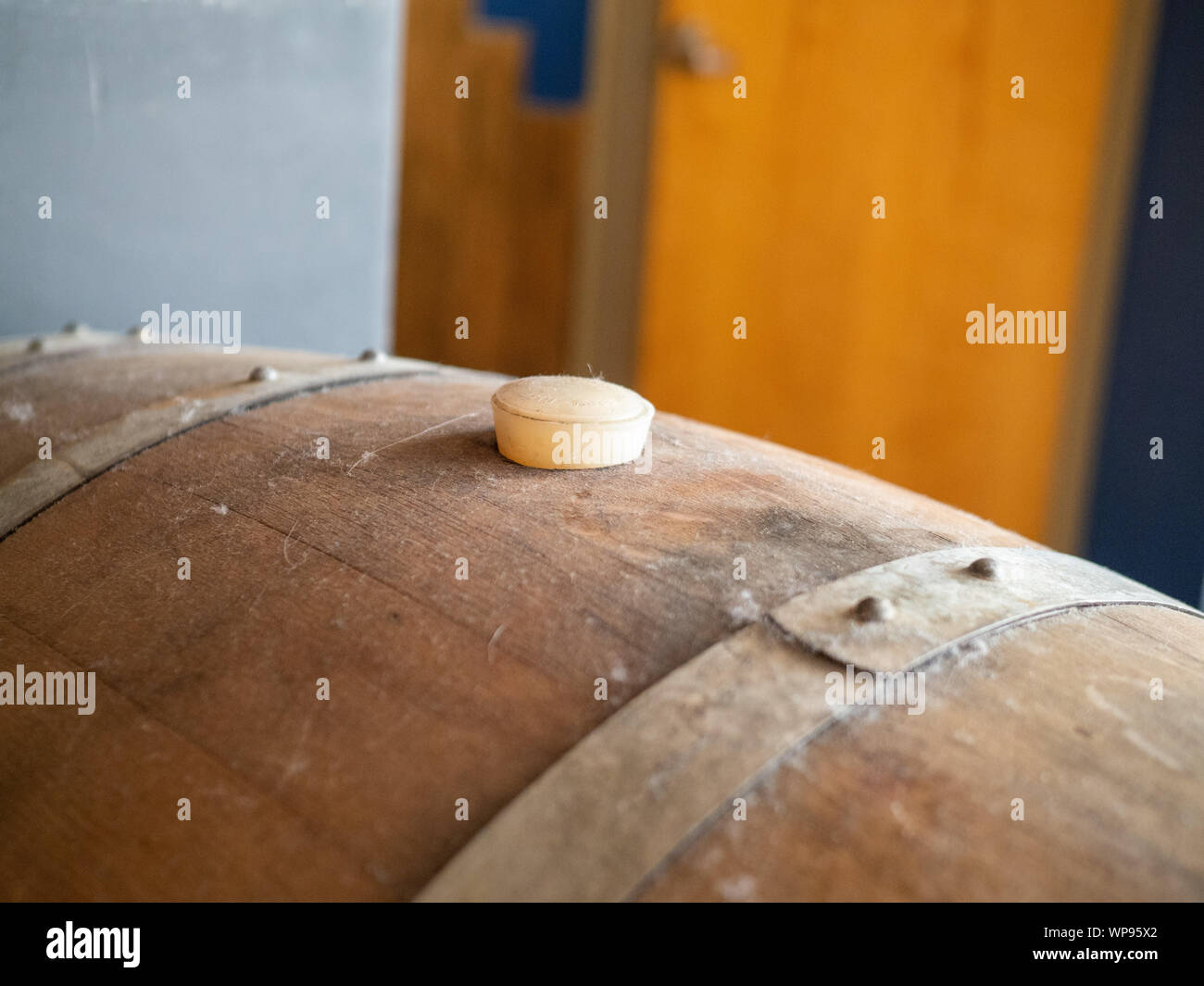 Top of barrel aged wine barrel stopper cork plug in winery Stock Photo