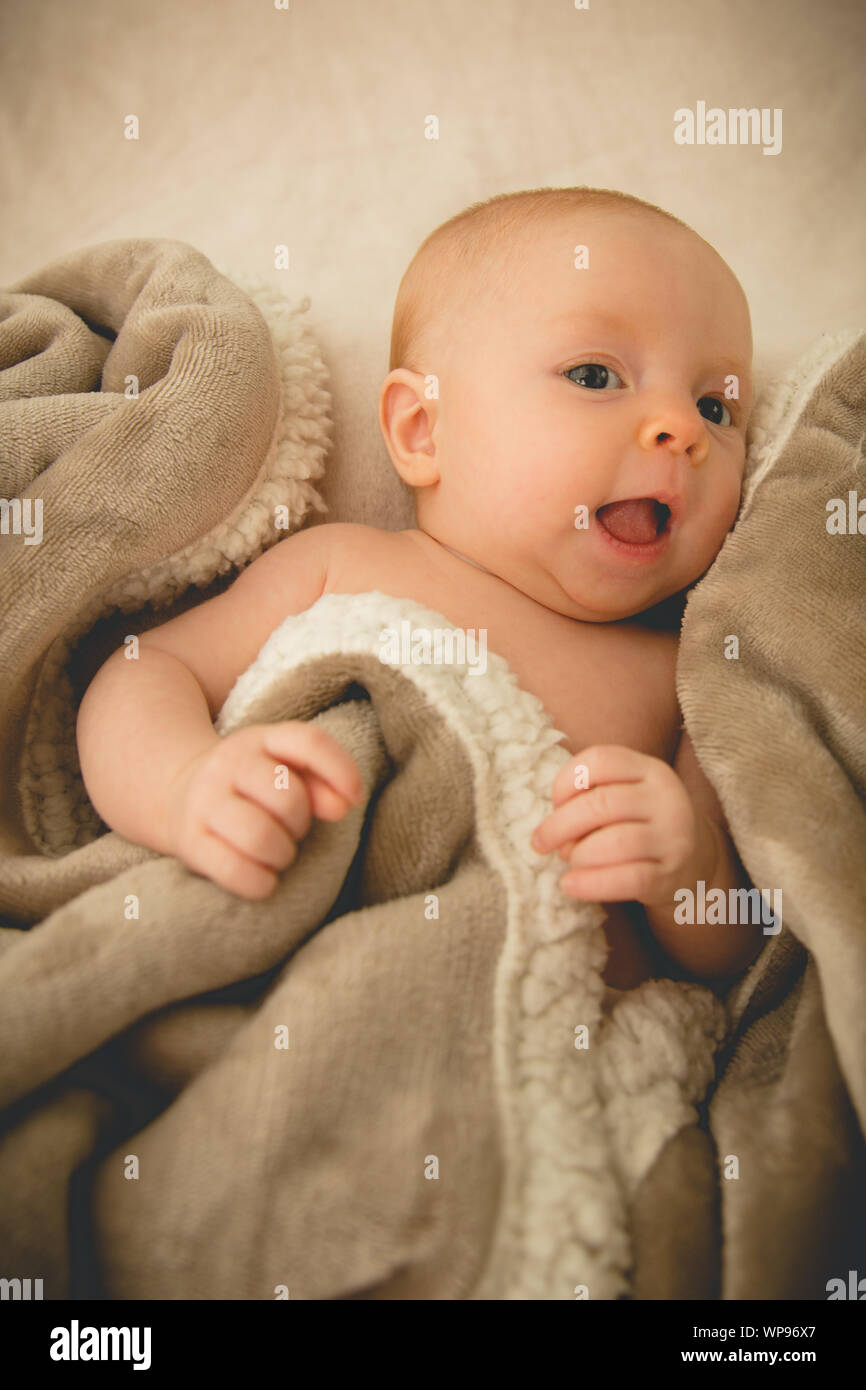 new born eyes Stock Photo Alamy