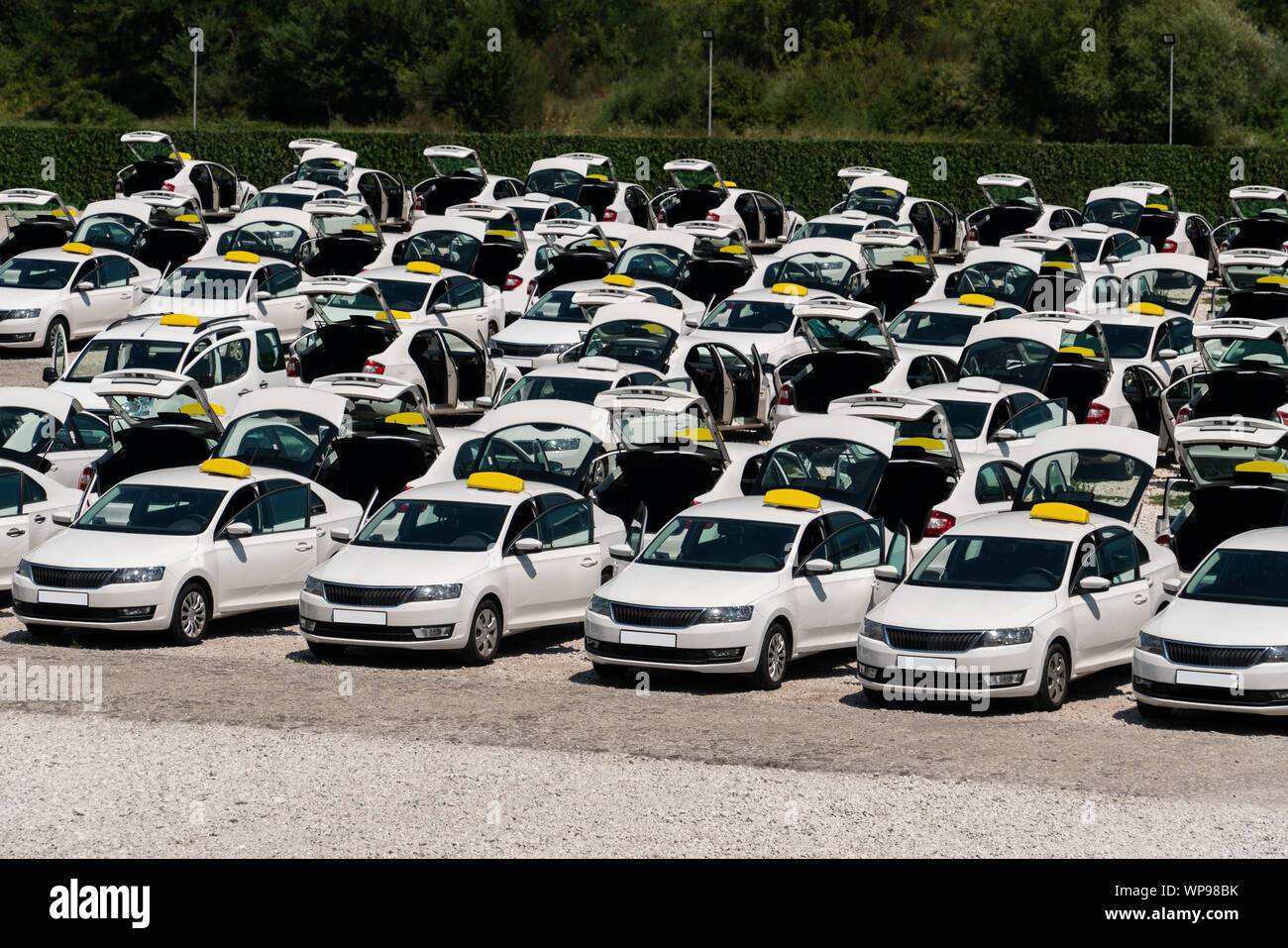 Many taxi cars stand in rows in a parking lot. Stock Photo