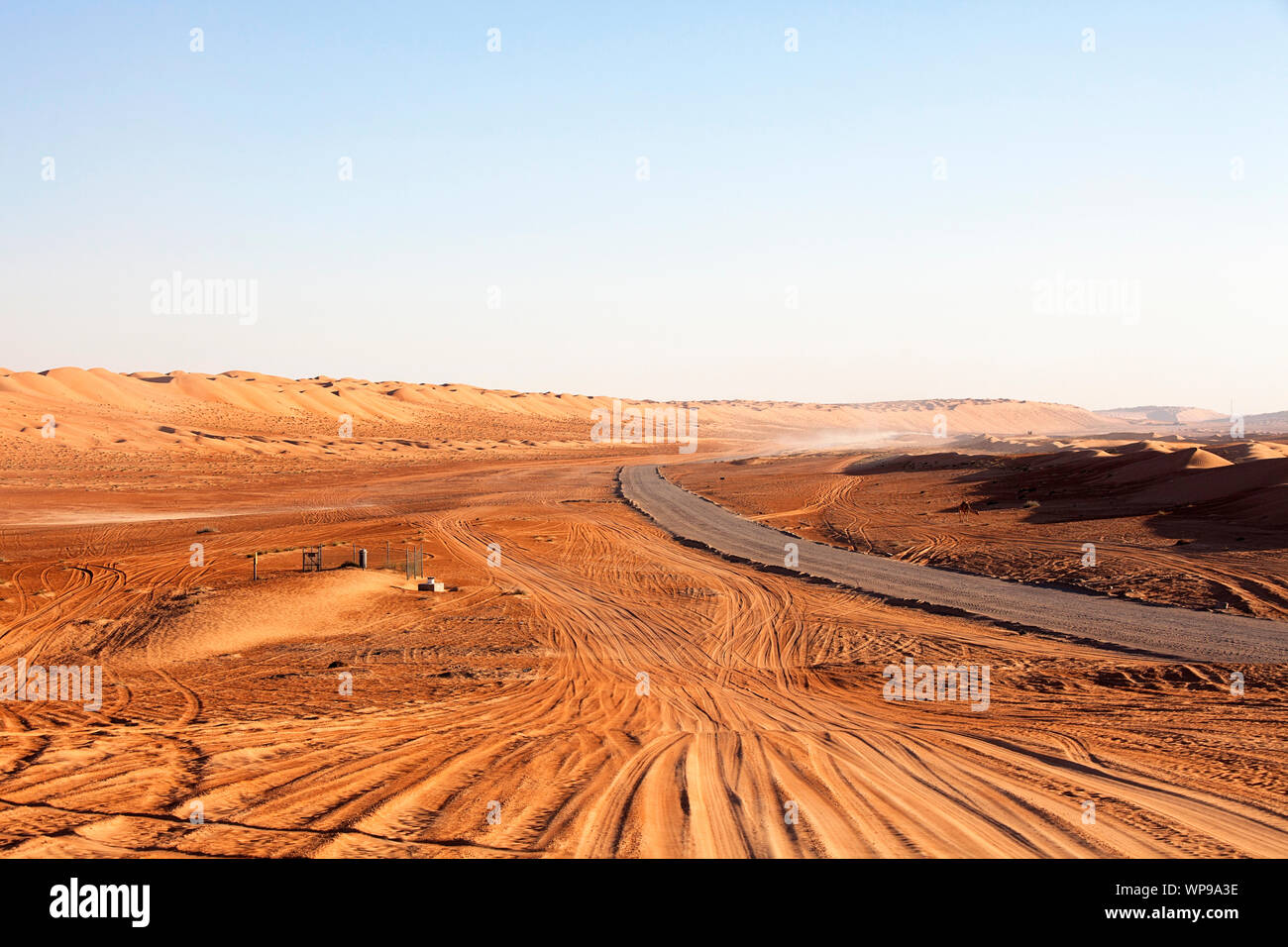 Desert road and dunes in Oman, camel by the road, Wahiba Sands Stock Photo