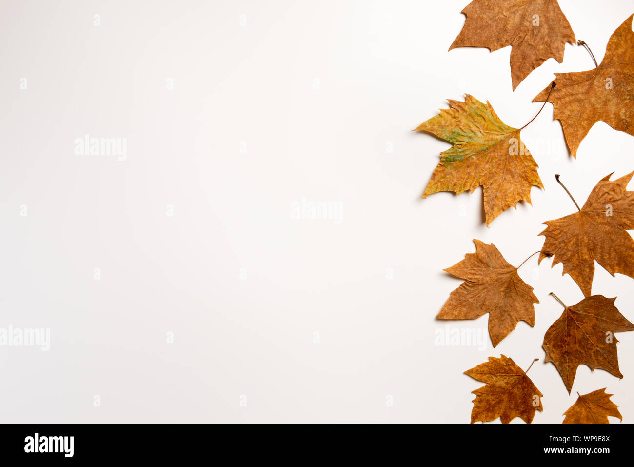 autumn maple leaves frame background with copy space for text Stock ...