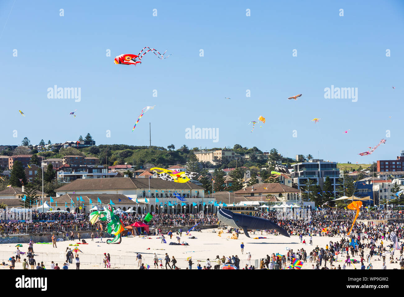 Festival of the winds, Bondi Beach, Sydney. Australia's largest kite festival Stock Photo Alamy