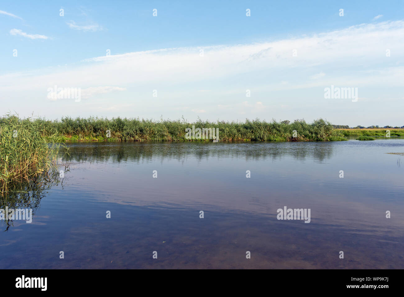 Panoramic View of Havel at Westhavelland, Havelaue, Brandenburg, Germany Stock Photo