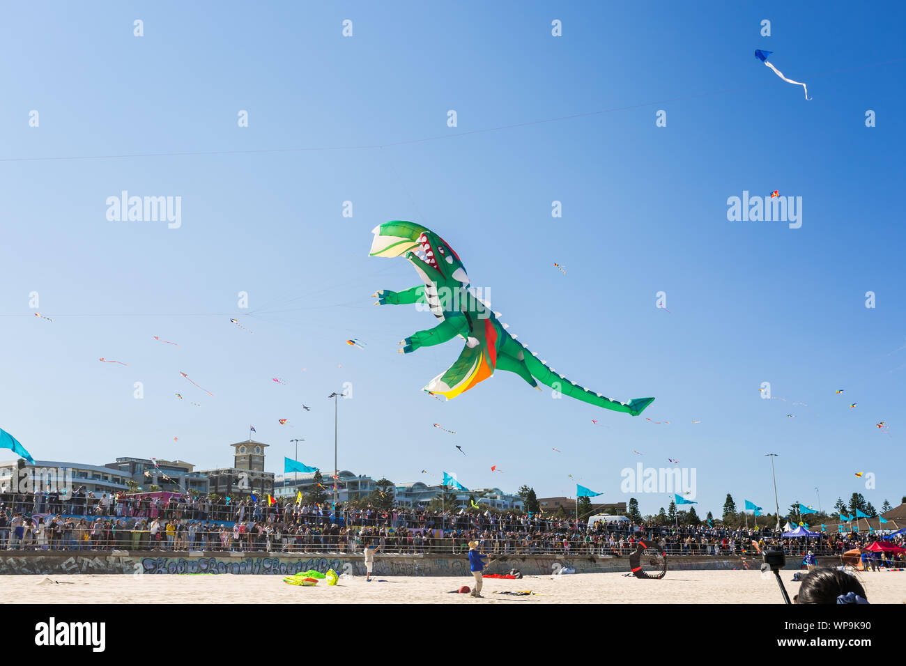 Festival of the winds, Bondi Beach, Sydney. Australia's largest kite