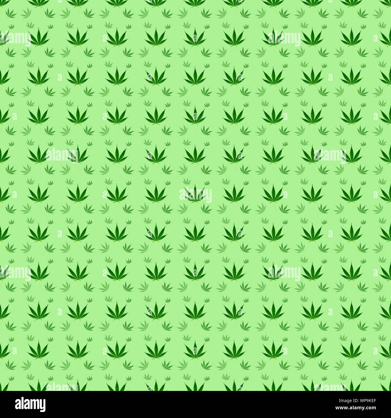 marijuana or cannabis leaves seamless background pattern Stock Photo