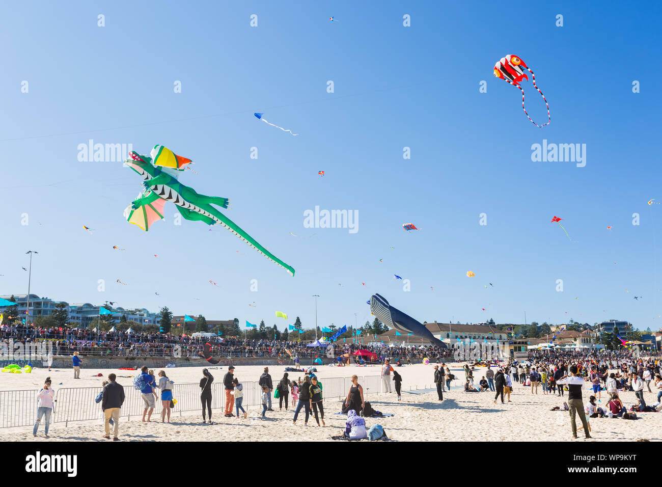 Festival of the winds, Bondi Beach, Sydney. Australia's largest kite festival Stock Photo Alamy