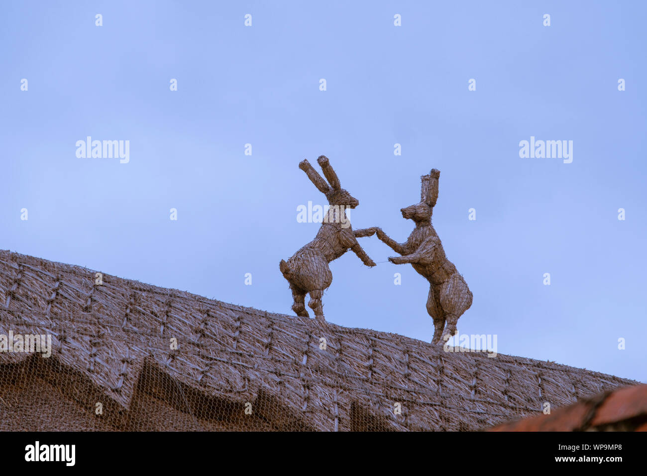 Straw finials of boxing hares on a thatched roof Stock Photo Alamy