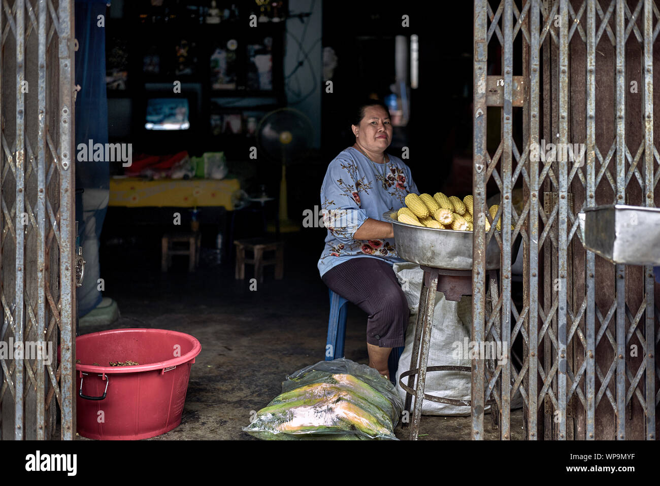 Woman working from home preparing  sweetcorn maize or corn on the cob. Thailand Southeast Asia Stock Photo