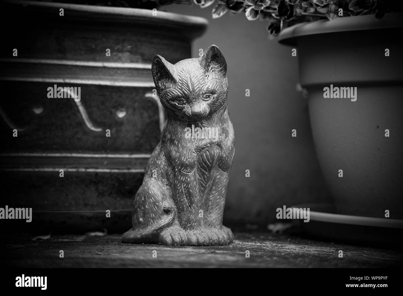 Vintage cat statue sitting next to plant pots Stock Photo Alamy