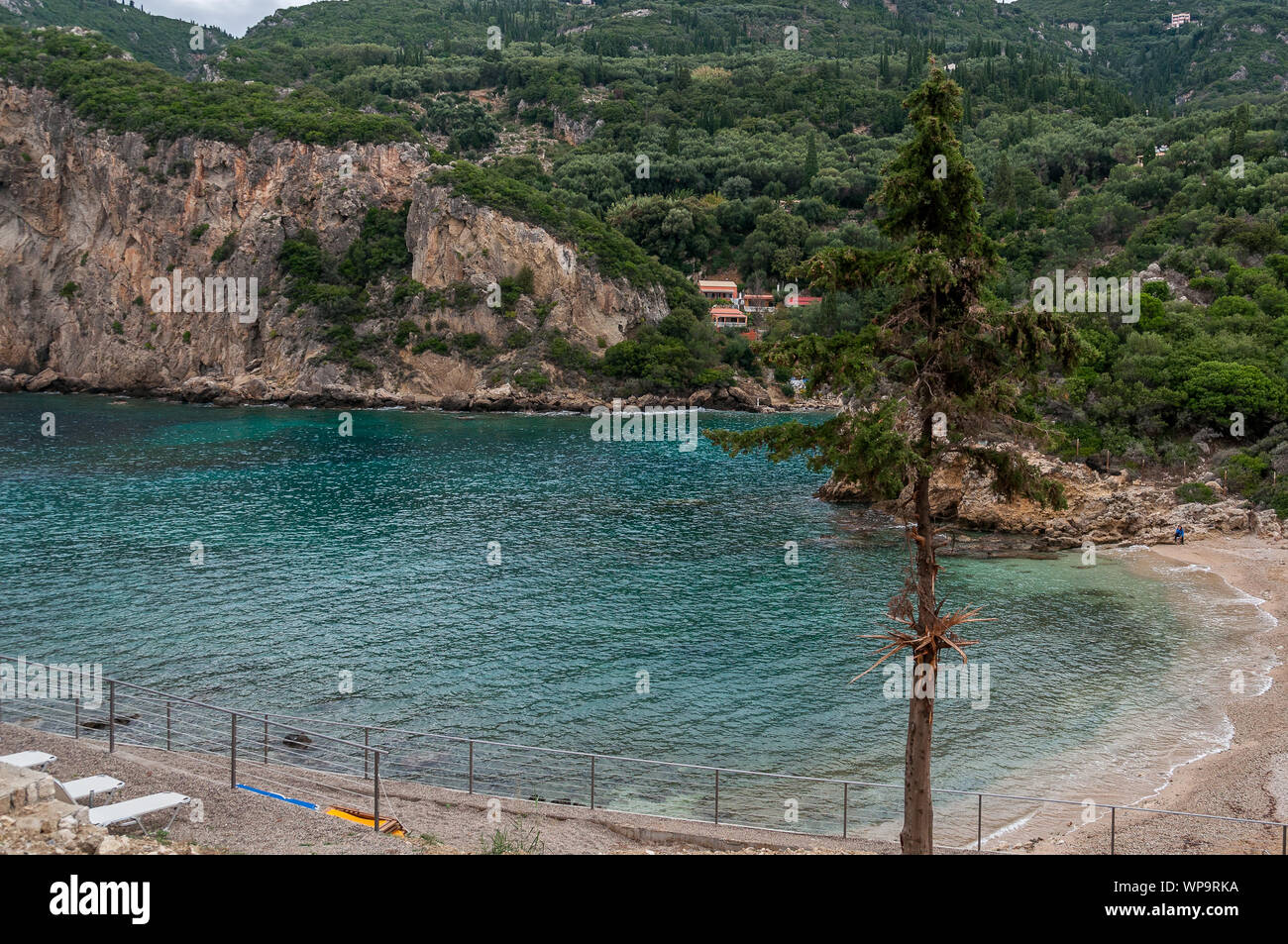 Panorama of the forest of Paleokastritsa bay, Corfu Isalnd, Greece Stock Photo