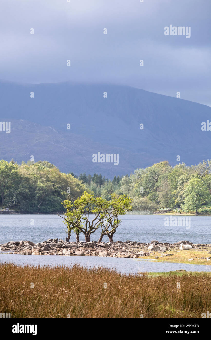 Llyn Cynwch lake on the popular Precipice Walk, Snowdonia National Park, North Wales, UK Stock Photo