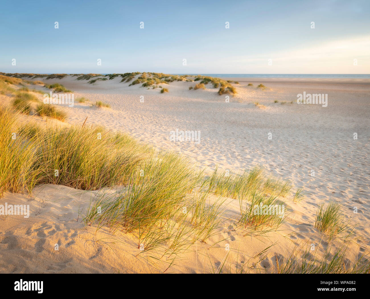 First light on sand hi res stock photography and images Alamy
