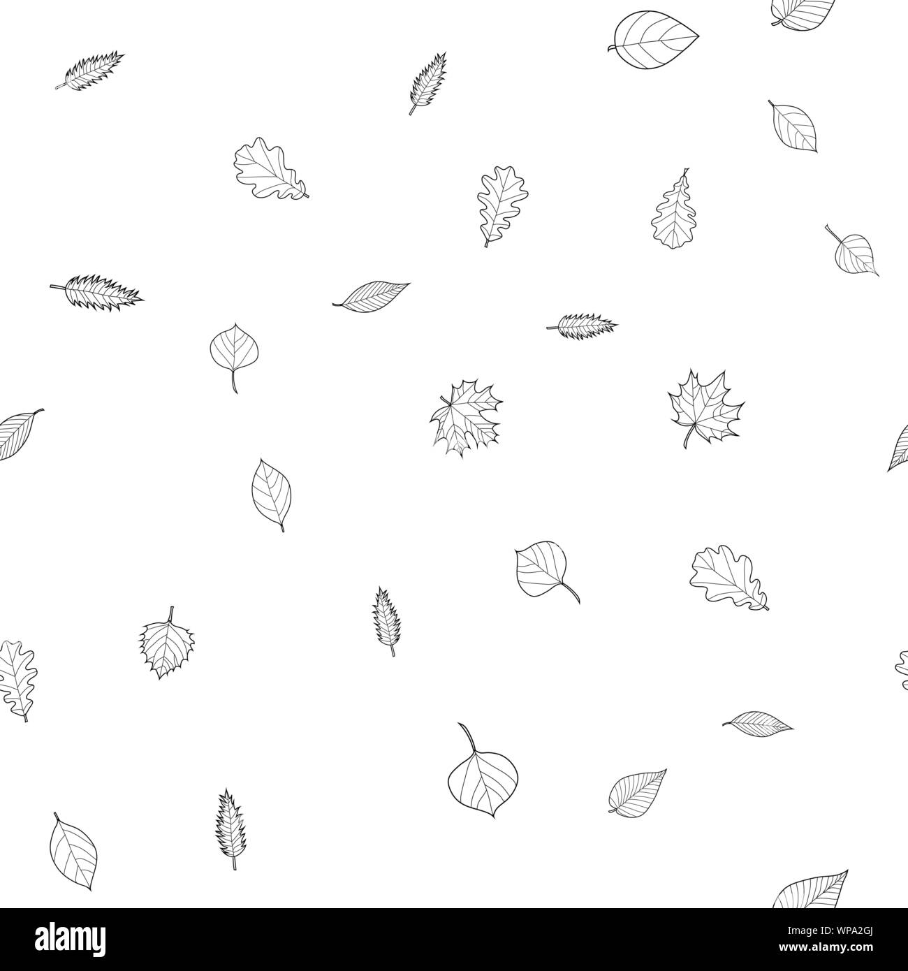 abstract vector doodle autumn leaves seamless pattern - black and white ...