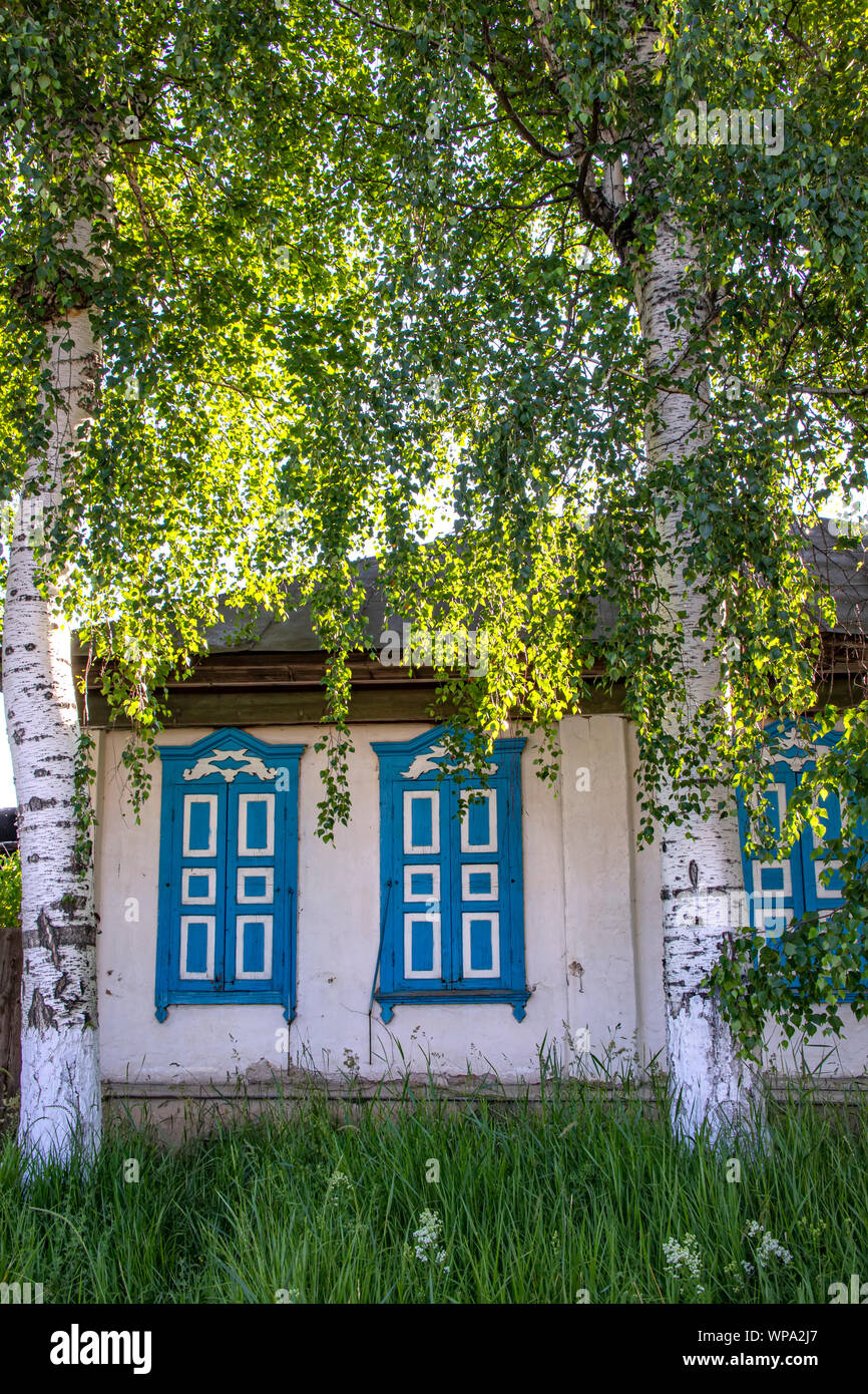 Village house with closed blue shuttered windows between large birch trees.Kyrgyzstan Stock Photo
