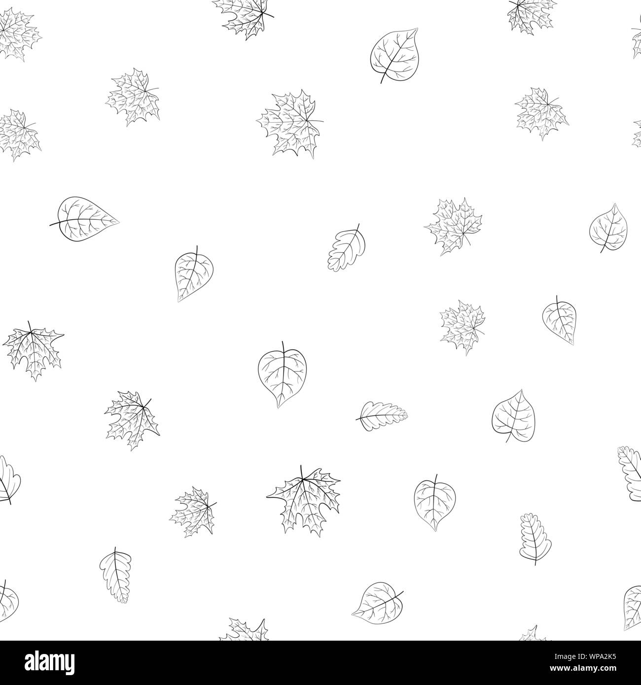 abstract vector doodle autumn leaves seamless pattern - black and white ...