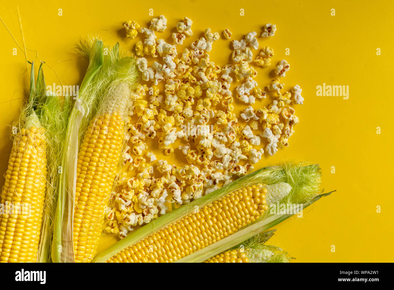 yellow popcorn and corncobs and raw corn, salt and sweet tastes Stock