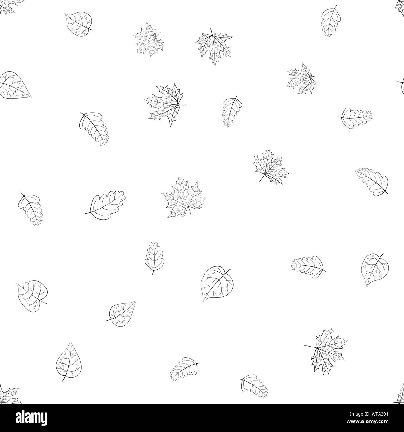 abstract vector doodle autumn leaves seamless pattern - black and white ...
