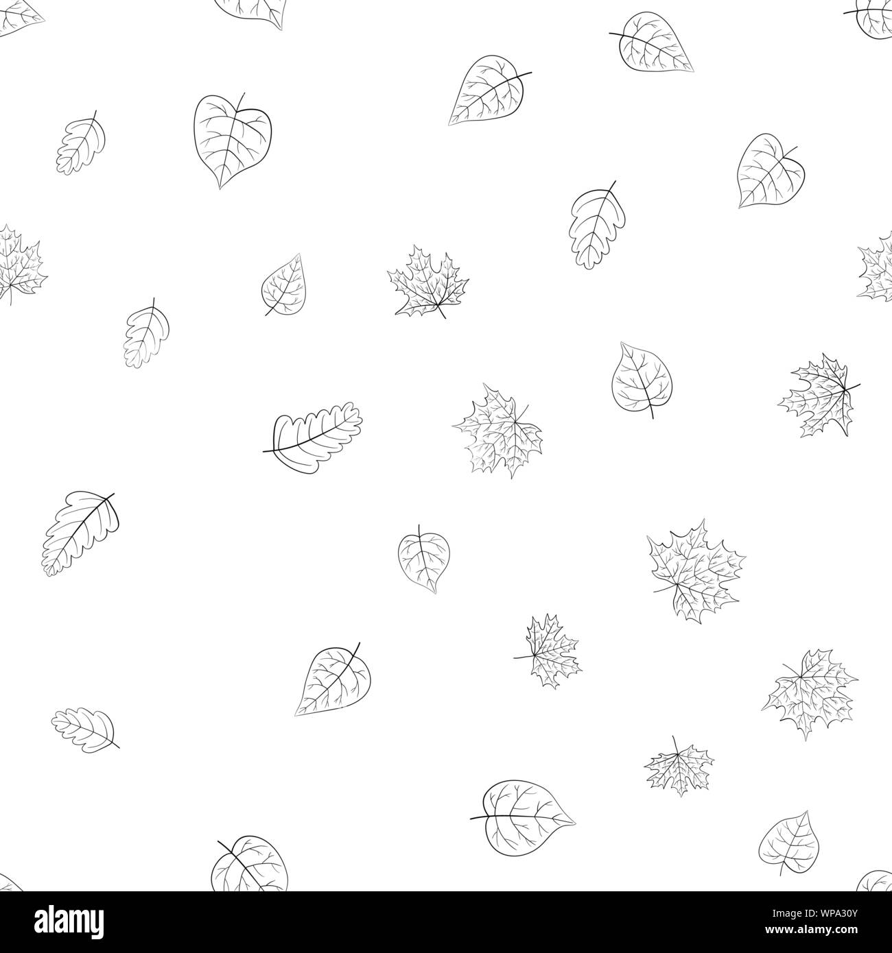 abstract vector doodle autumn leaves seamless pattern - black and white ...