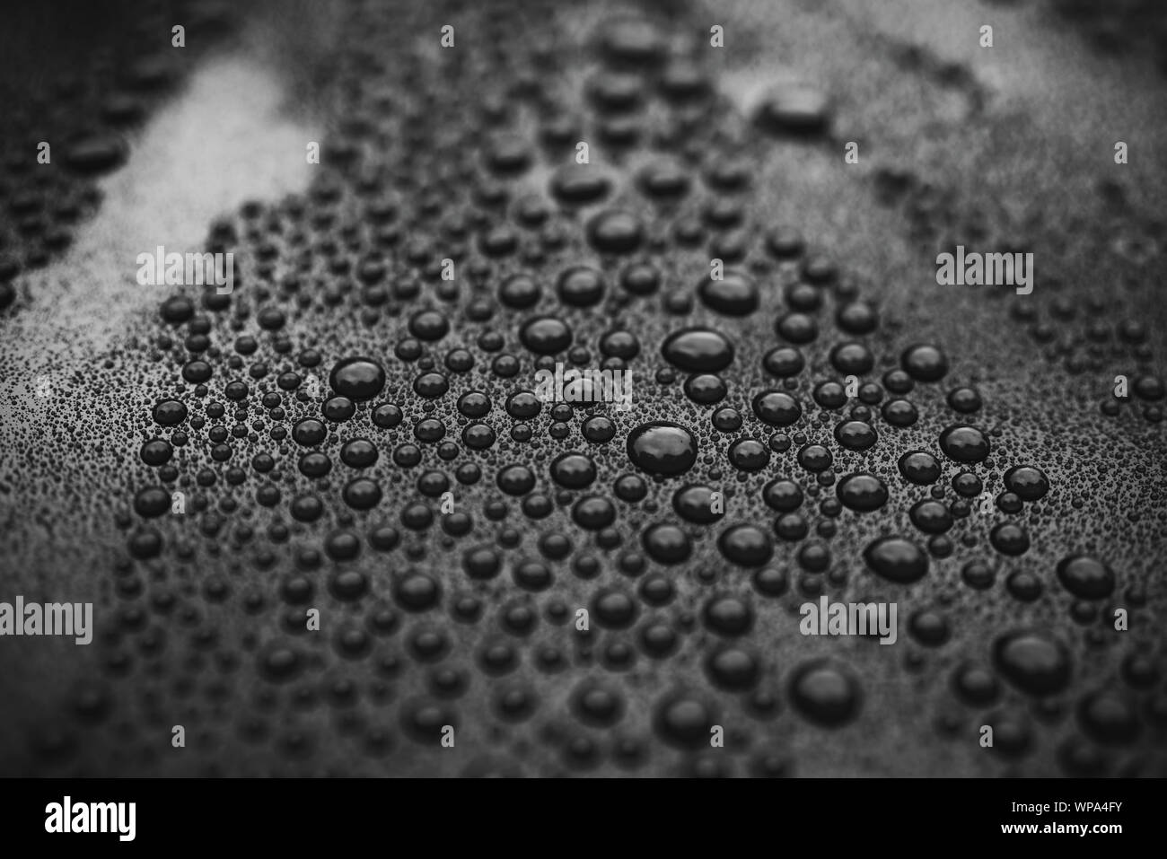 Closeup black car paint surface with hydrophobic ceramic coating, shallow focus Stock Photo Alamy