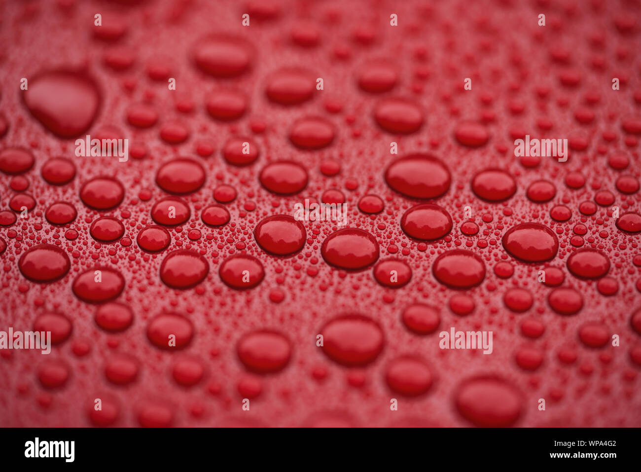 Closeup red car paint surface with hydrophobic ceramic coating, shallow focus Stock Photo Alamy