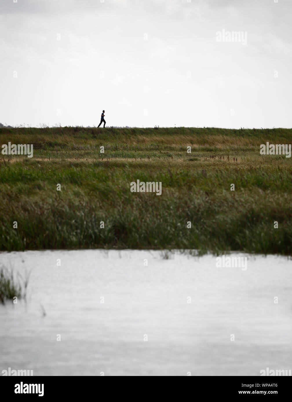 Young man running on the top of a bank in the marshes of North Norfolk. Stock Photo