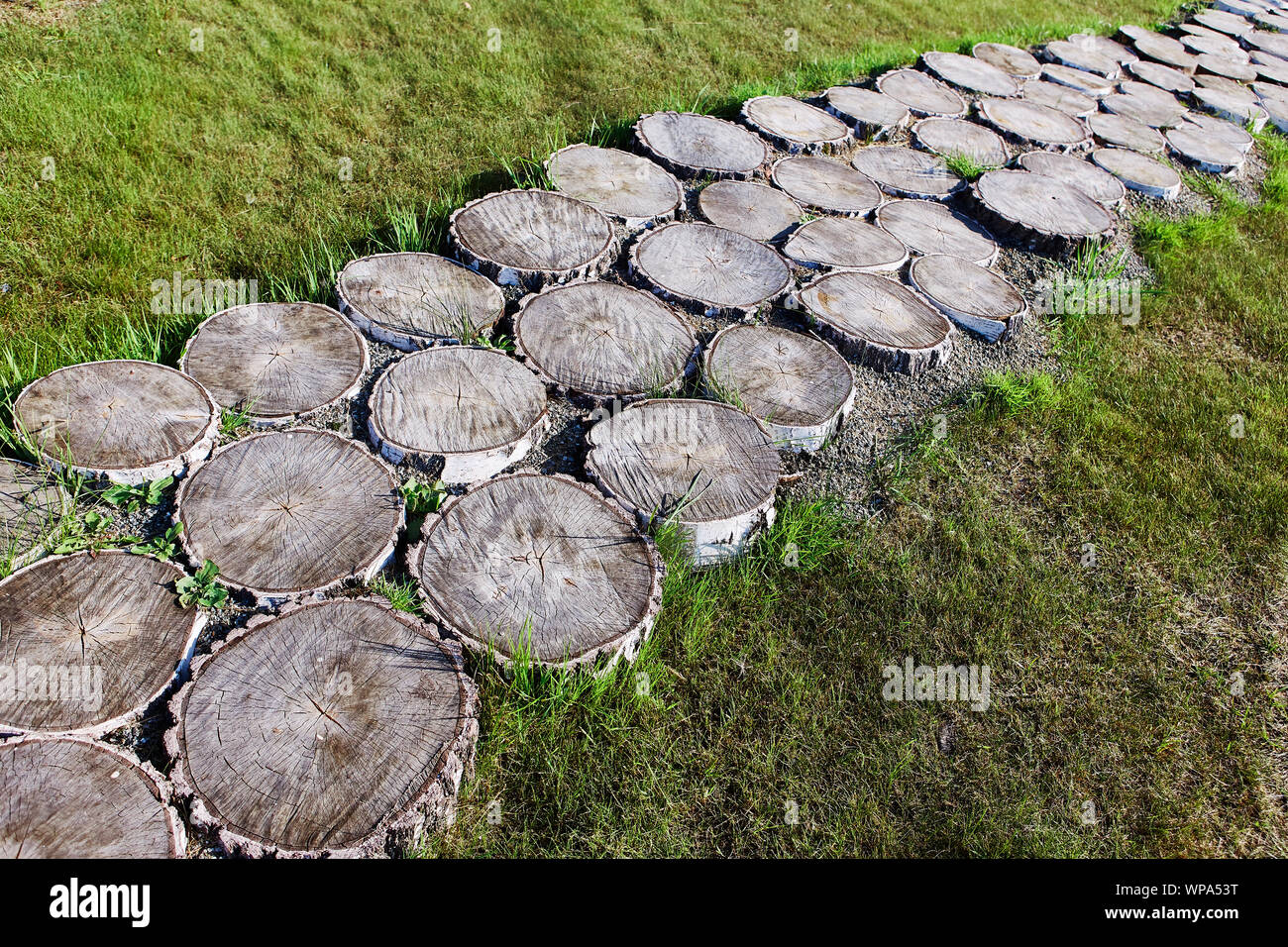 Tree Rounds Path Path in the parkl from round saw cuts of a tree Stock Photo - Alamy